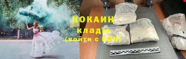 амф Касимов