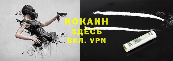 apvp Каменка