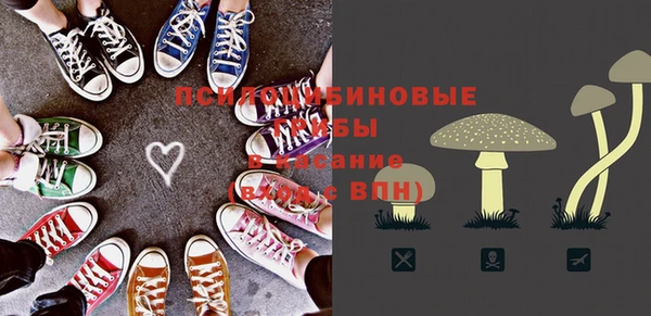 ГАЛЛЮЦИНОГЕННЫЕ ГРИБЫ Киренск