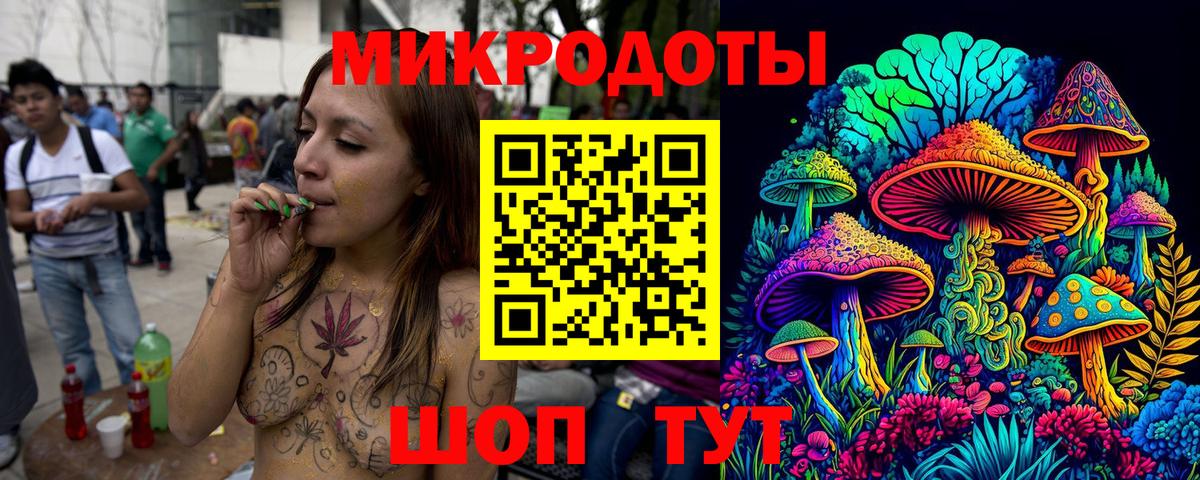 Псилоцибиновые грибы Psilocybine cubensis Краснокаменск