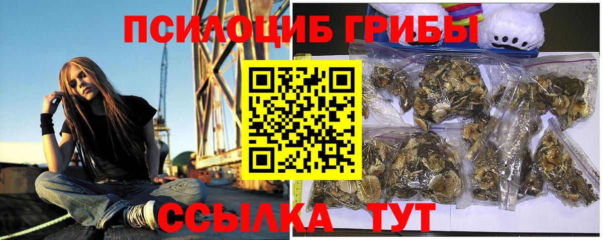 Галлюциногенные грибы прущие грибы  Вход с VPN  Краснокаменск 